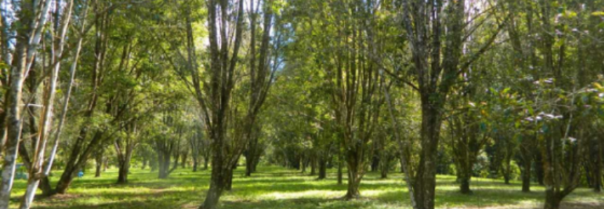 Dias de Campo do Projeto Rural Sustentável do SENAR BAHIA começa dia 09 de Novembro