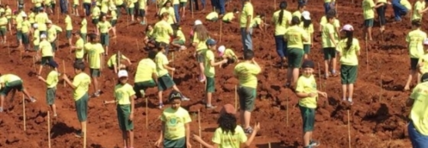 Projeto Semeando o Verde envolveu 4,9 mil crianças do PR e MS em 2017