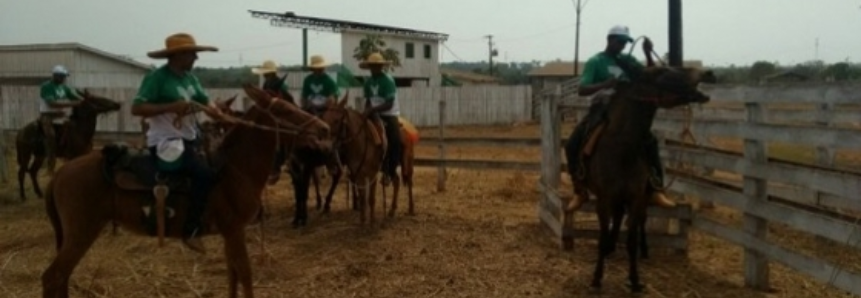 Treinamentos mais demandados em Aripuanã são os do setor da pecuária