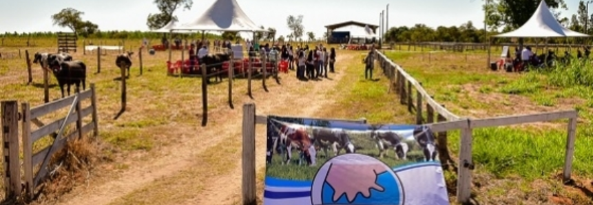 Dia de Campo do programa Mais Leite mobiliza produtores da região norte de MS