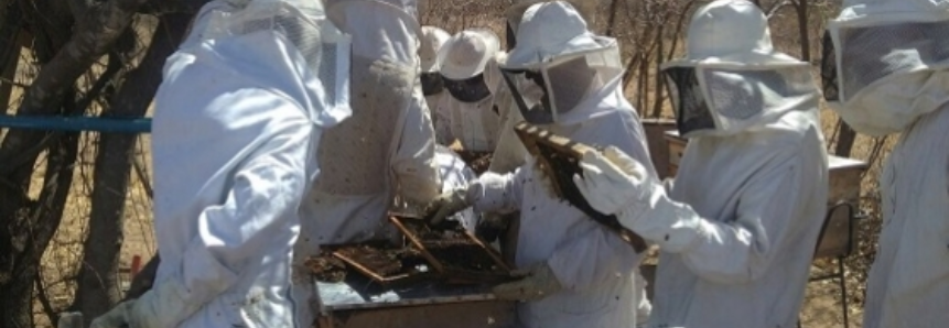 Apicultores de Paratinga recebem capacitações do Pro-SENAR Preparatório