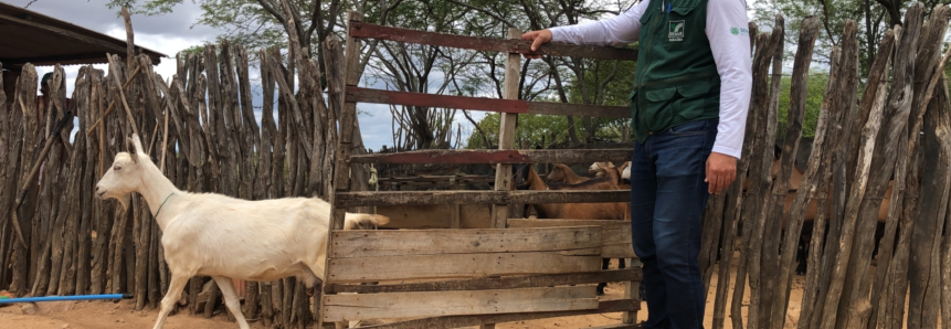 Senar Paraíba completa 29 anos de atendimento ao produtor rural