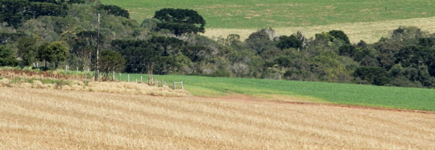 Faep repudia fala de presidente da Apex-Brasil contra o agro