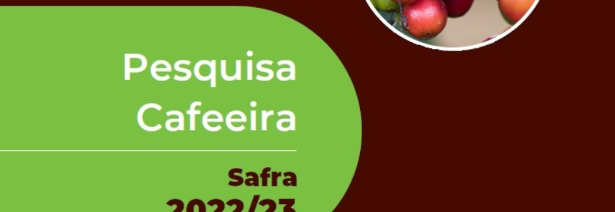 Pesquisa aponta temas prioritários para os cafeicultores