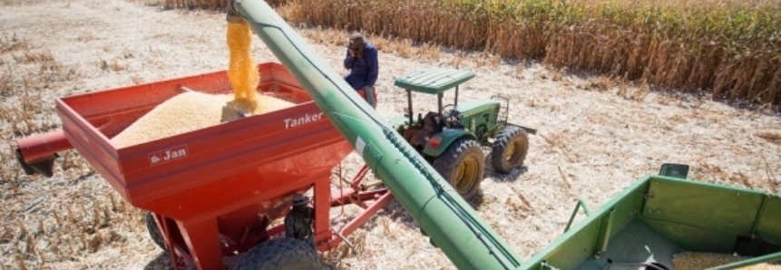 PIB da Agropecuária cresce 14,9% no 2º trimestre em relação ao mesmo período do ano passado