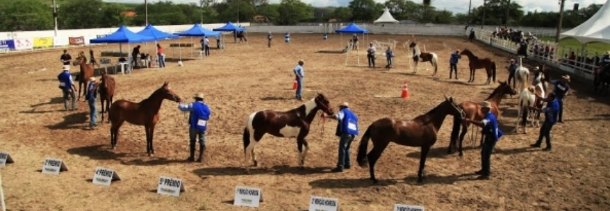 FAEPE anuncia 11ª Festa do Cavalo