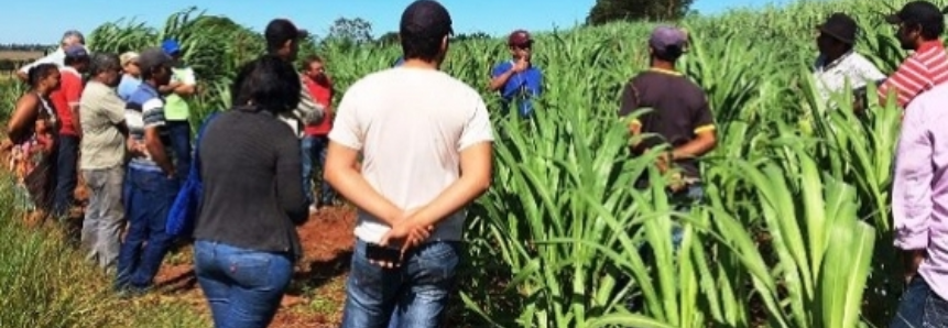 Em seis meses, produtor recupera investimentos com fertirrigação e economia atinge 14%