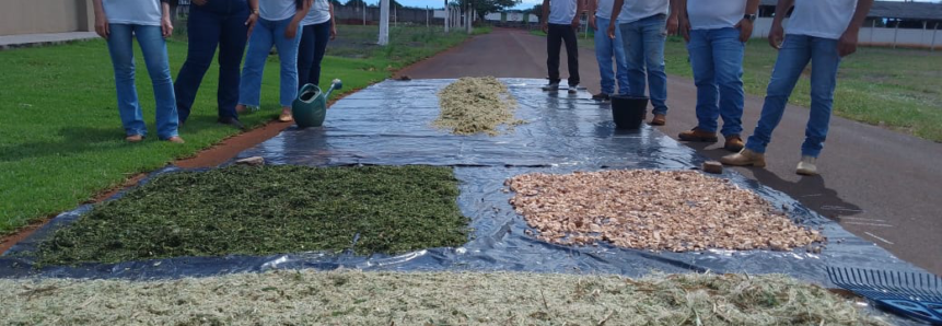 Curso ensina a fazer suplementos para reduzir gastos com compra de rações