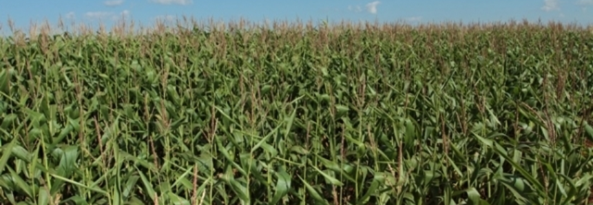 Seminário no Correio analisa o cenário agrícola no DF e no país