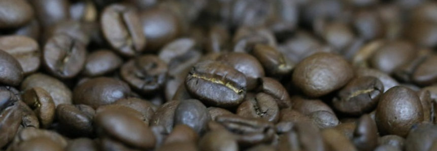 Campo Futuro levanta custos de produção do café