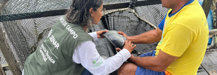 Solução simples e sem custos reduz mortalidade de peixes de produtores assistidos pela ATeG