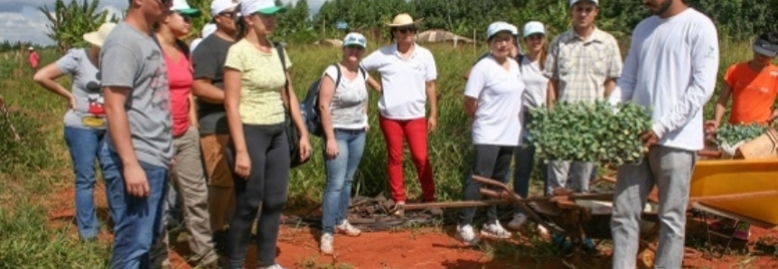 Produção orgânica aumenta rentabilidade dos participantes do programa Do Rural à Mesa