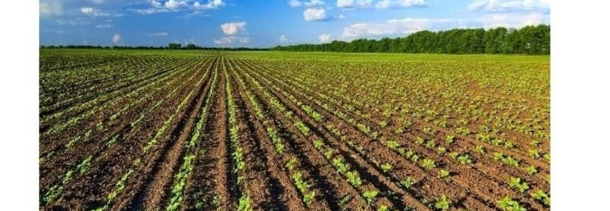 Debate sobre legislação e agronegócio acontece nesta sexta em Campo Grande