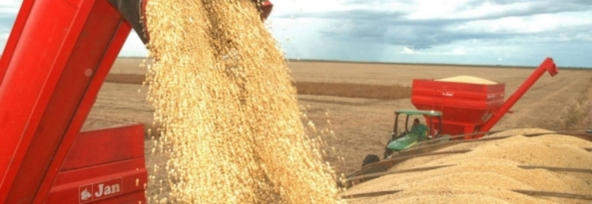 Pastagens favorecem pastoreios, enquanto segue colheita de grãos no Rio Grande do Sul