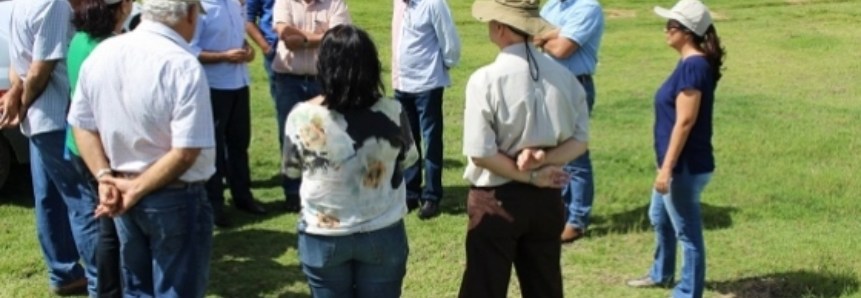 Grupo gestor do Plano ABC conhece experiência de floresta plantada na Paraíba