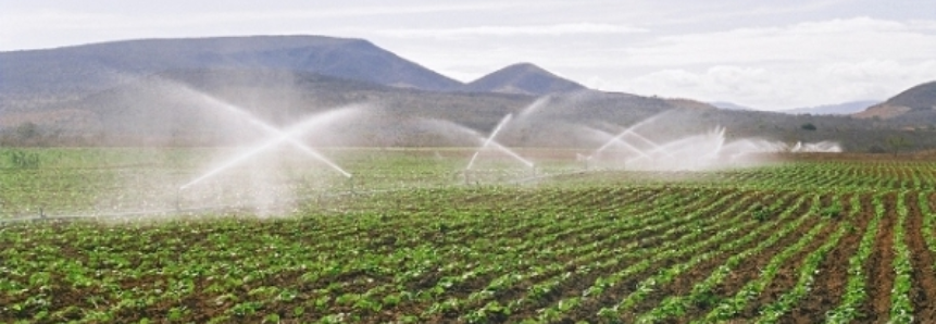 No Rio Grande do Sul, clima favorece culturas e agricultores mantêm boas expectativas de produção