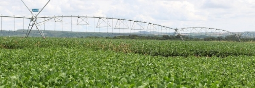 CNA aponta investimentos dos produtores em tecnologia e clima como responsáveis pelo crescimento do PIB da agropecuária