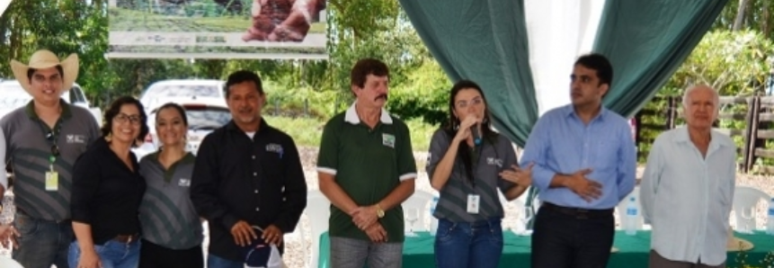 Dia de Campo incentiva produtor maranhense a adotar tecnologias do ABC Cerrado