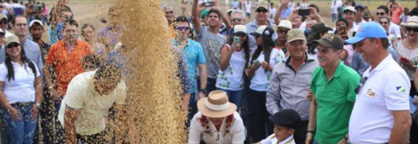 Infraestrutura e energia são os principais desafios para o desenvolvimento da agropecuária de Roraima