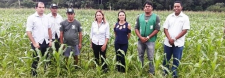 Programa Integra SENAR vai ao Maranhão acompanhar as ações da ATeG