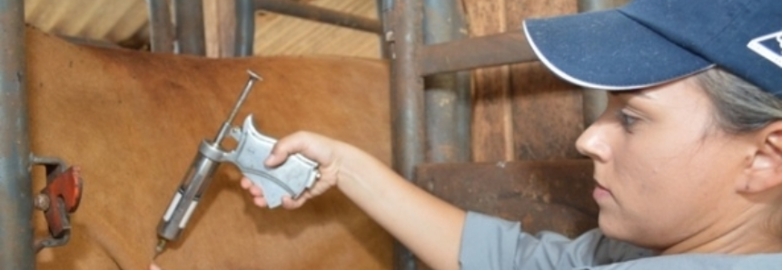 Em Pernambuco, palestra orienta produtores sobre botulismo