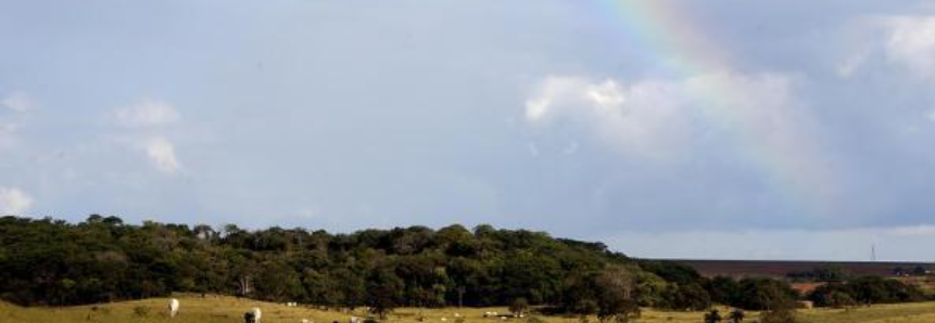 Setor agropecuário terá queda de receita de 0,9% em 2016