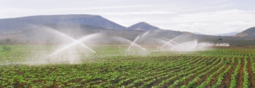 Valor da produção agropecuária de 2017 é estimado em R$ 548 bilhões, o maior em 30 anos