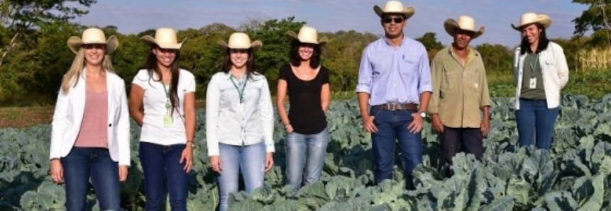 Do Rural à Mesa: Programa que integra produtores, cozinheiros e consumidores chega a MS