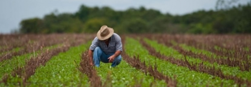 Desempenho do crédito rural atinge 47% na safra 2016/2017