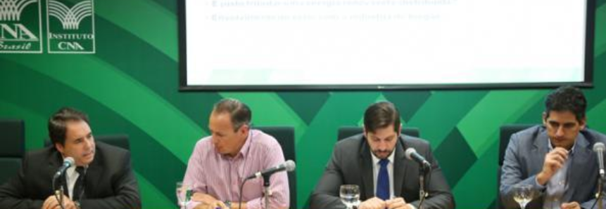 Cadeia produtiva de suínos debate acesso às tecnologias de baixa emissão de carbono