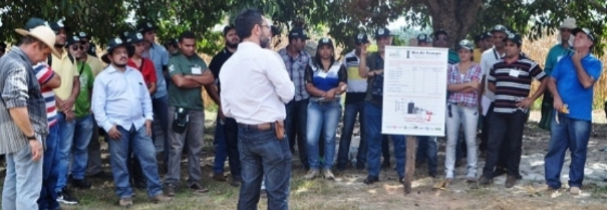 SENAR do Maranhão capacita técnicos de campo em tecnologias do Projeto ABC Cerrado