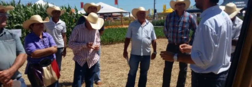 SENAR/MS promove dia de campo para produtores de leite em Jardim