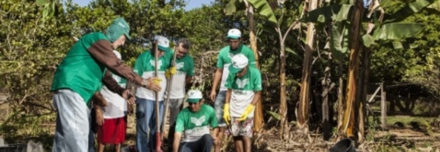 SENAR-MT capacita mão de obra para atuar na cadeia produtiva da fruticultura