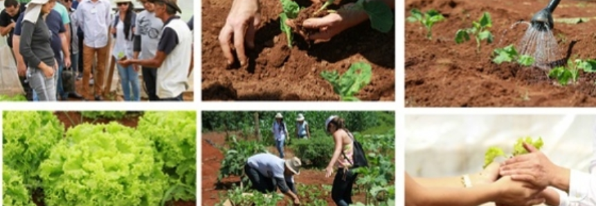 Programa Do Rural à Mesa traz benefícios para quem produz, prepara e consome alimentos