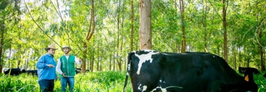 SENAR oferece 30 cursos gratuitos e a distância para profissionais do setor agropecuário que buscam formação continuada