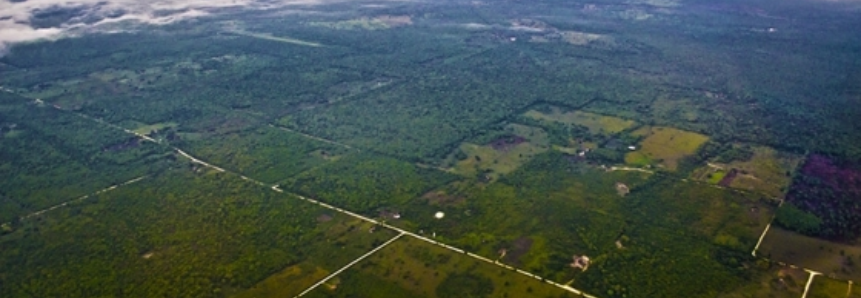 Produtores rurais e profissionais do setor participam de treinamento regional do CAR/MS em Campo Grande