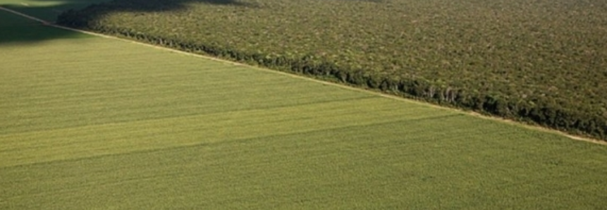 Programa de Regularização Ambiental é implantado em Mato Grosso