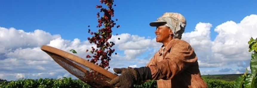 SENAR Minas inicia Programa de Assistência Técnica e Gerencial em cafeicultura