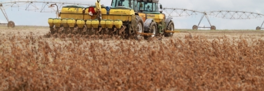 Após período de queda, exportações do agronegócio gaúcho estabilizam