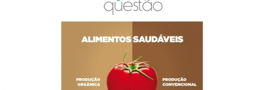 AO VIVO: Agro em Questão - Alimentos saudáveis