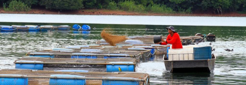 Faesp/Senar-SP participa de uma das maiores feiras de aquicultura do País, a Aquishow