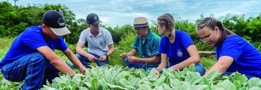 Agrinho dentro dos colégios agrícolas incentiva pesquisa científica