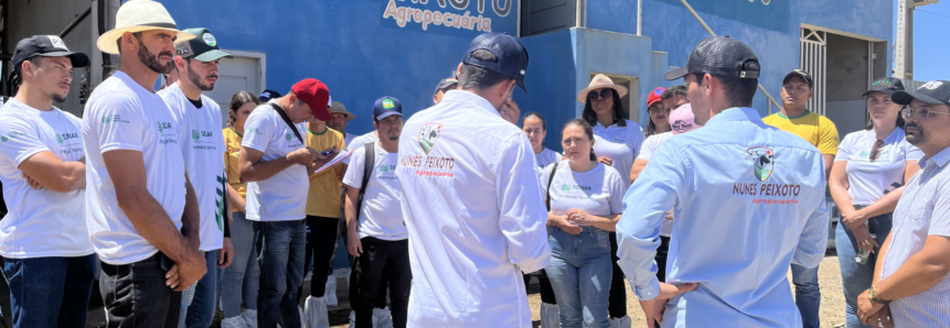 Alunos do curso técnico em zootecnia aprendem na prática técnicas de melhoramento genético na bovinocultura