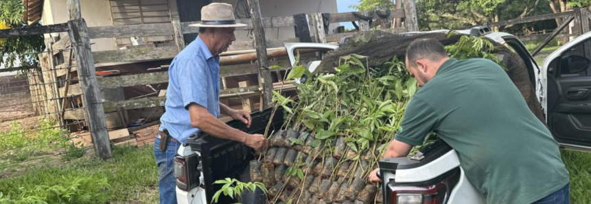 Agro+Verde planta 30 mil mudas no Triângulo Mineiro