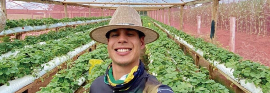Produtor migra de atividade e decola no cultivo de morangos