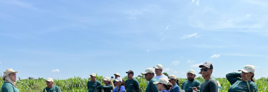 ​Senar Amazonas promove, em convênio com o Sebrae/AM, Dia de Campo na Vila do Novo Céu, em Autazes