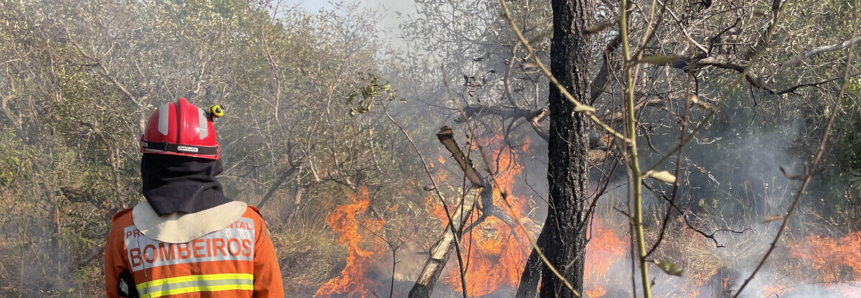 Em meio a recorde de incêndios, Sistema FAEP contrata instrutor para cursos de prevenção e combate