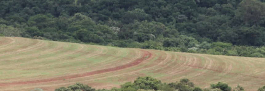 CT de Meio Ambiente esclarece dúvidas sobre CAR dinamizado