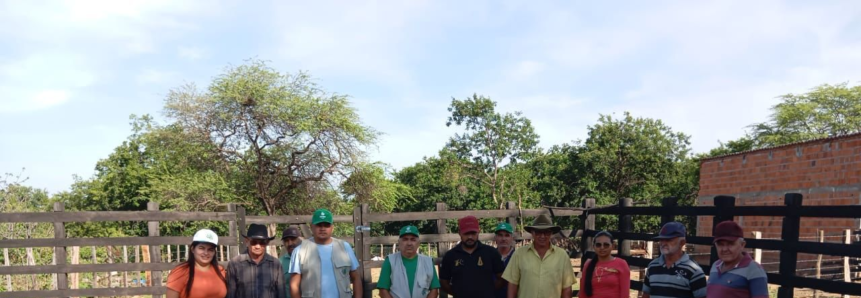 Produtores participam de curso de Manejo Sanitário em caprinos e ovinos em Caldeirão Grande