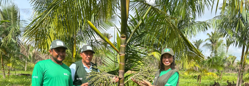 Senar e Faema - Transformando a produção rural com tecnologia e gestão